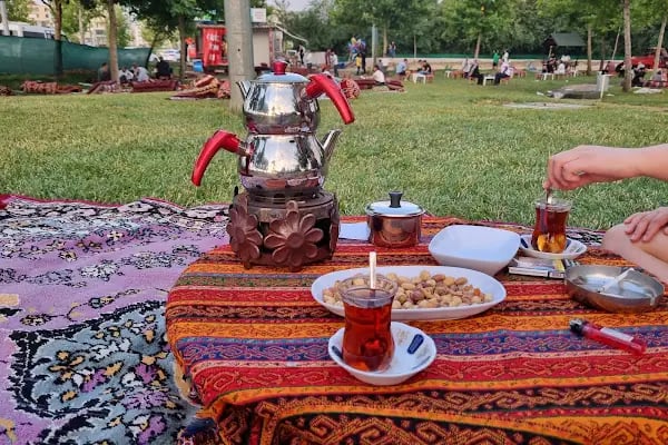 Bağlar Belediyesi Nevruz Parkı - Resim 12