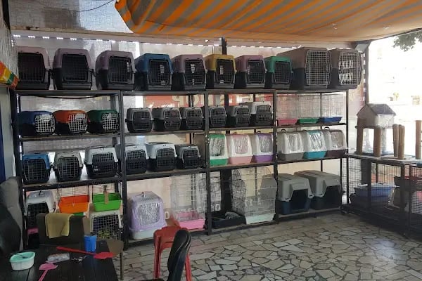 AH-ZOO PETSHOP AKVARYUM - Resim 14