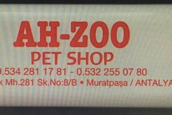 AH-ZOO PETSHOP AKVARYUM - Resim 3