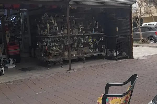 AH-ZOO PETSHOP AKVARYUM - Resim 2