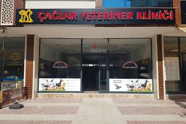 Malatya Tecde Çağlar veteriner kliniği - Resim 5