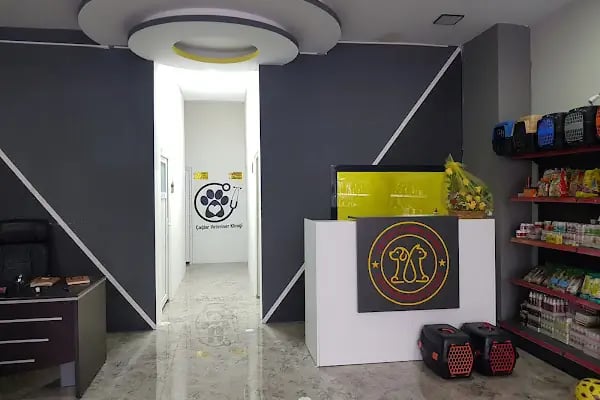 Malatya Tecde Çağlar veteriner kliniği - Resim 16