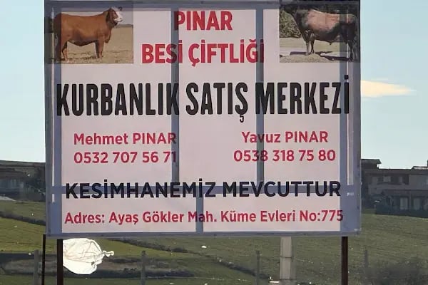 PINAR BESİ ÇİFTLİĞİ, Yavuz PINAR, Mehmet PINAR - Resim 4