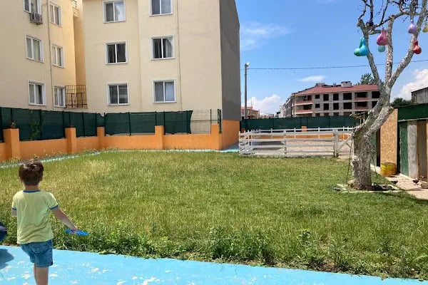 Gemlik Özel Eğitim Akademisi Özel Eğitim Ve Rehabilitasyon Merkezi - Resim 1