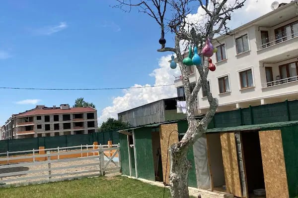 Gemlik Özel Eğitim Akademisi Özel Eğitim Ve Rehabilitasyon Merkezi - Resim 2