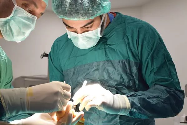 Op. Dr. Tarık Elma, Ortopedi Ve Travmatoloji - Resim 17
