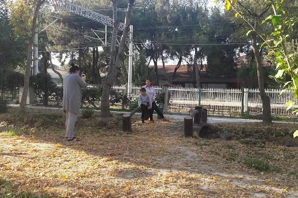 GENİŞEL SÜRÜCÜ KURSU - Resim 13