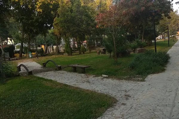 GENİŞEL SÜRÜCÜ KURSU - Resim 12