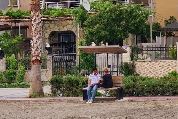 Yenişakran - Resim 7