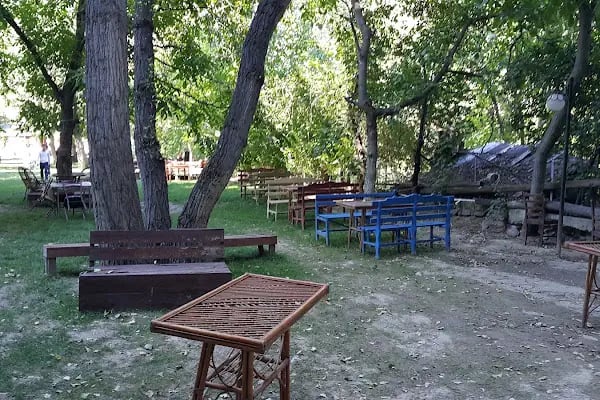 İnözü Vadisi Çeşmeli Bağ Tesisleri - Resim 2