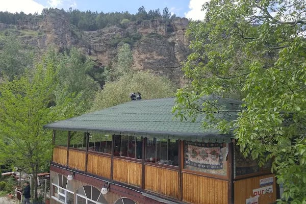 İnözü Vadisi Çeşmeli Bağ Tesisleri - Resim 1