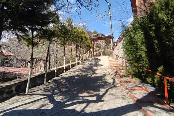 İnözü Vadisi Çeşmeli Bağ Tesisleri - Resim 7