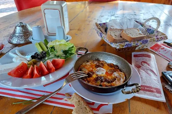 İnözü Vadisi Çeşmeli Bağ Tesisleri - Resim 15