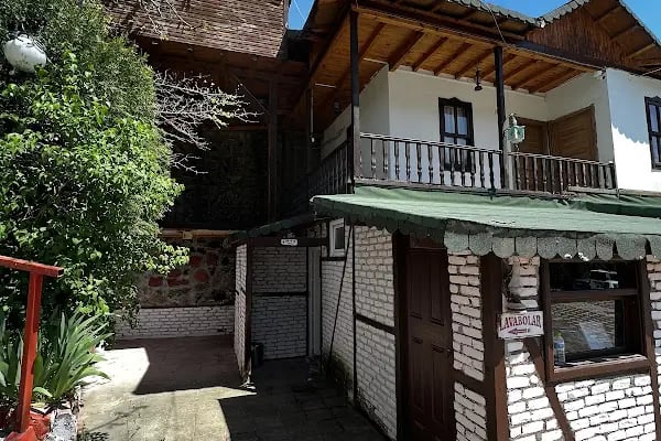 İnözü Vadisi Çeşmeli Bağ Tesisleri - Resim 19