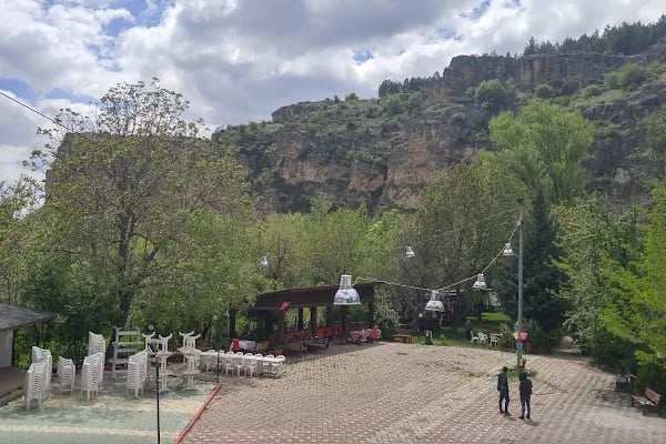 İnözü Vadisi Çeşmeli Bağ Tesisleri - Resim 17
