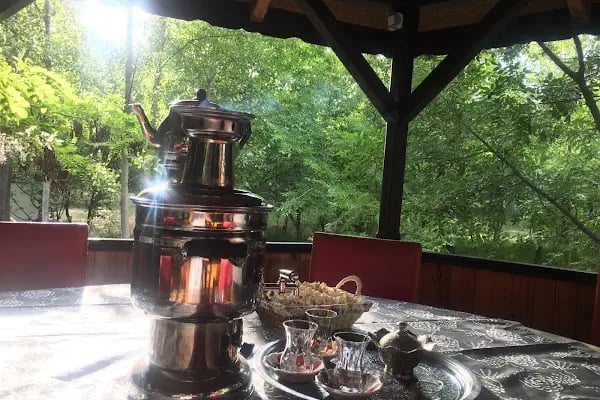 İnözü Vadisi Çeşmeli Bağ Tesisleri - Resim 4