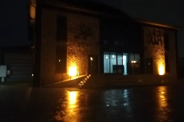 Sakarya Hafız İHO Cami - Resim 6