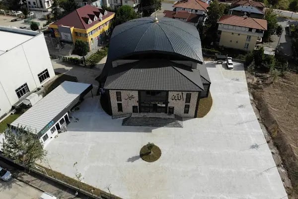 Sakarya Hafız İHO Cami - Resim 12