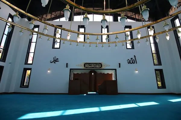 Sakarya Hafız İHO Cami - Resim 10