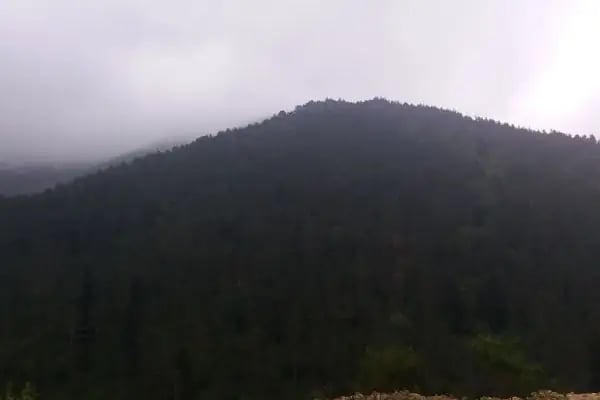 Nisa Pansiyon - Resim 11