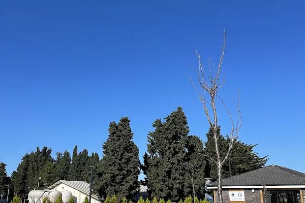 Kaşüstü Belediye Aile Plajı - Resim 19