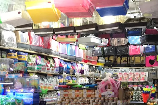 Ece Akvaryum Pet Shop - Resim 2
