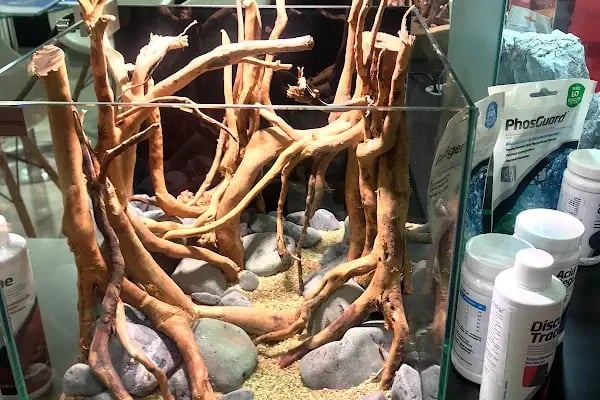 Ece Akvaryum Pet Shop - Resim 6
