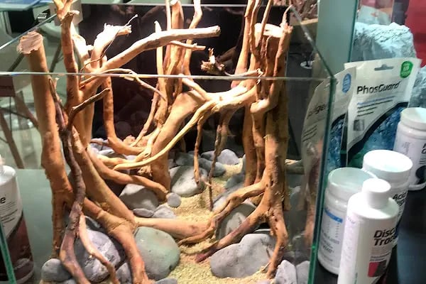 Ece Akvaryum Pet Shop - Resim 9
