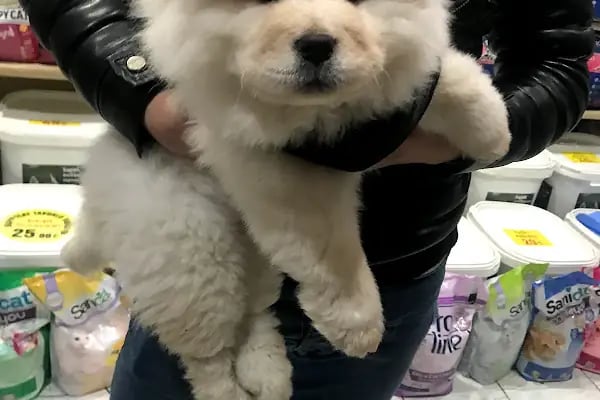 Ece Akvaryum Pet Shop - Resim 20