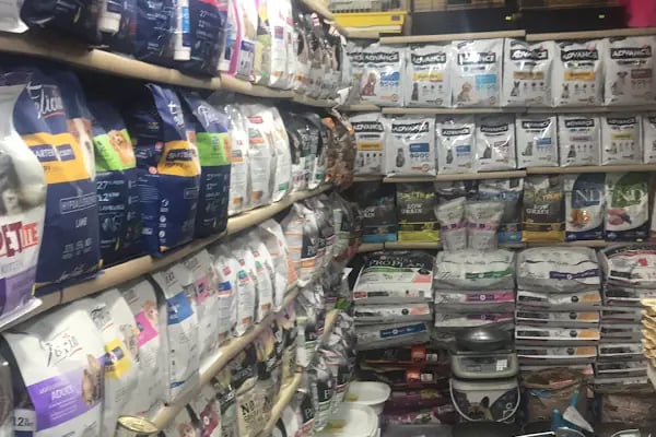 Ece Akvaryum Pet Shop - Resim 13