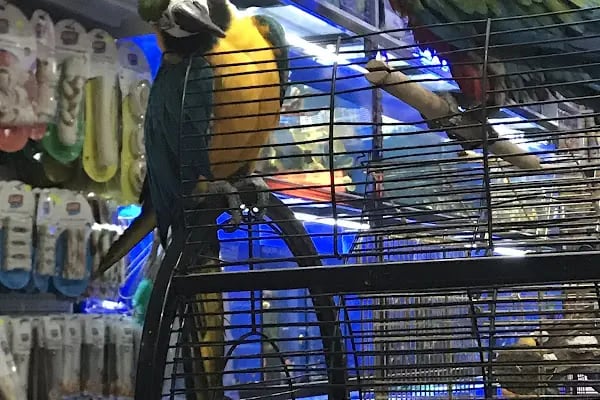 Ece Akvaryum Pet Shop - Resim 4