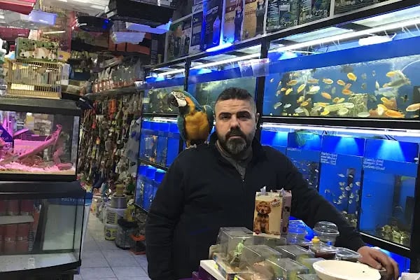 Ece Akvaryum Pet Shop - Resim 17