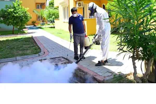 Akdeniz Hijyen Alanya Haşere ve Böcek İlaçlama - Resim 13