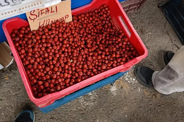 Üçkuyular Pazarı - Resim 11