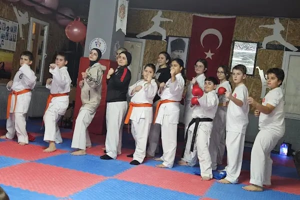 Karate /Aikido/Kickboks Özel Maltepe Gençlik Spor Kulübü - Resim 2