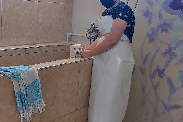 Vetopya Veteriner Kliniği - Resim 17