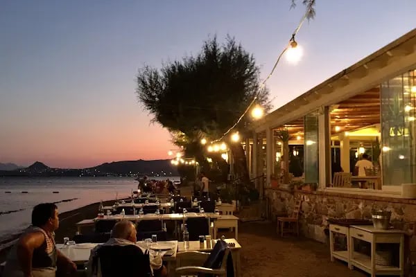 Ayana Balık Restaurant - Resim 1