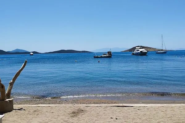 Ayana Balık Restaurant - Resim 6