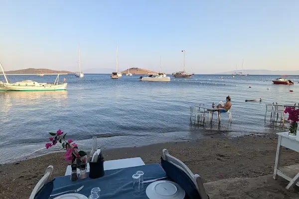 Ayana Balık Restaurant - Resim 4