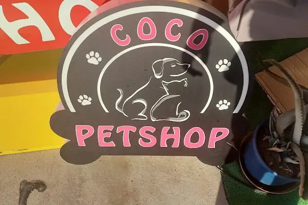 cocopetshop bodrum - Resim 2
