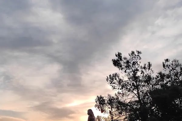 Karabağlar Belediyesi Karafatma Parkı - Resim 7
