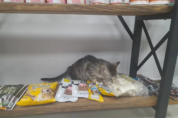 Novapet Veteriner Kliniği - Resim 17