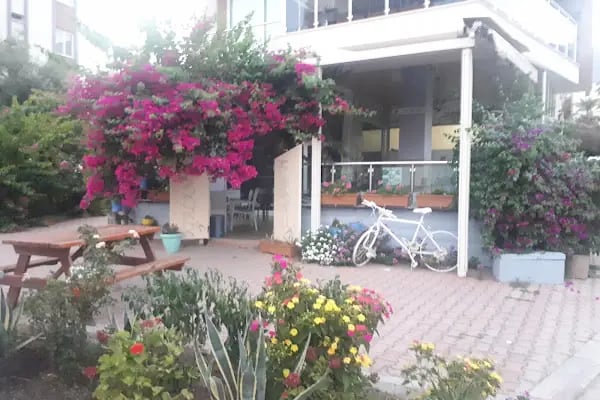 Kirlangic Cafe - Resim 20