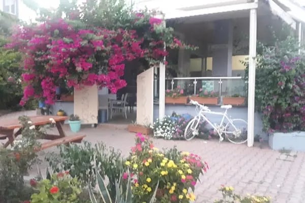 Kirlangic Cafe - Resim 4