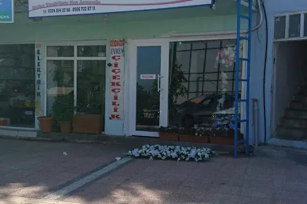 Anamur Gündoğdu Çiçekçilik - Resim 20