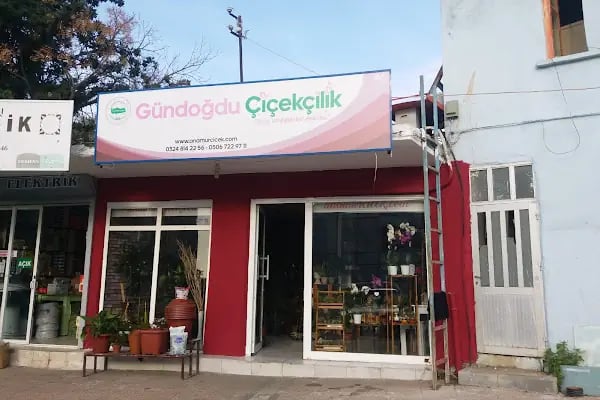 Anamur Gündoğdu Çiçekçilik - Resim 12