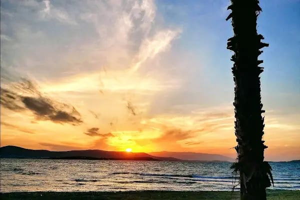 kalabak plajı - Resim 6