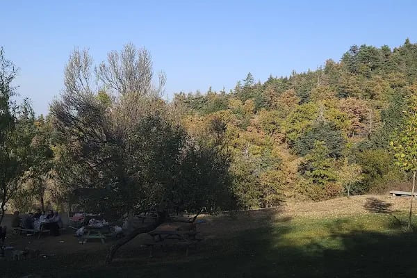 Yaka Manastır Atik Restoran - Resim 9