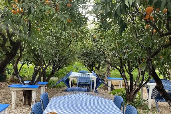 Kuytu Bahçe Bodrum - Resim 11