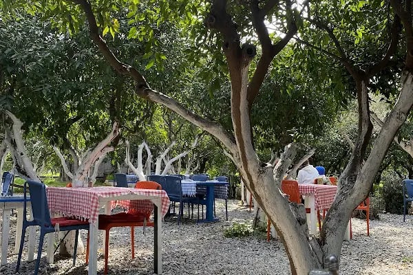 Kuytu Bahçe Bodrum - Resim 10